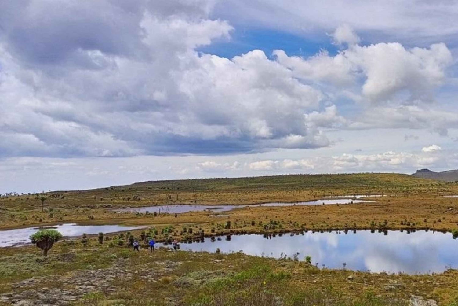 Aberdares: ruta guiada con vistas a los siete estanques