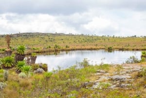 Aberdares: ruta guiada con vistas a los siete estanques