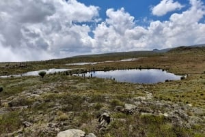 Aberdares: ruta guiada con vistas a los siete estanques
