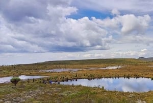 Aberdares: ruta guiada con vistas a los siete estanques