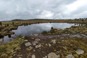Aberdares: ruta guiada con vistas a los siete estanques