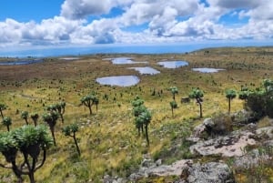 Aberdares: ruta guiada con vistas a los siete estanques