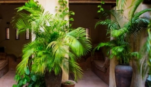 Amber House, Lamu