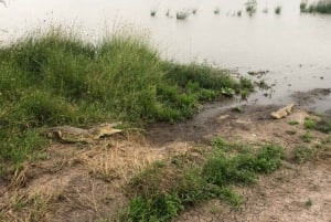 Amboseli; 2 dagars safari till Amboseli park från Nairobi.