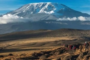 AMBOSELI: 3 TAGE AMBOSELI BUDGET GRUPPENSAFARI