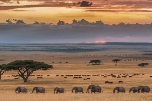 AMBOSELI : 3 JOURS DE SAFARI EN GROUPE AVEC BUDGET AMBOSELI