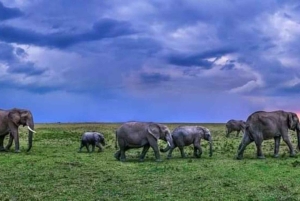 AMBOSELI : 3 JOURS DE SAFARI EN GROUPE AVEC BUDGET AMBOSELI