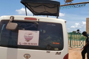 Amboseli dagsutflykt – Kilimanjaro-utsikt