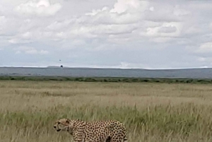 Amboseli dagsutflykt – Kilimanjaro-utsikt