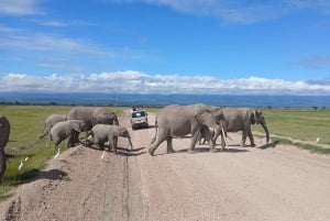 Амбосели: сафари на воздушном шаре с завтраком