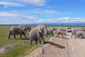 Амбосели: сафари на воздушном шаре с завтраком
