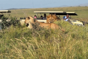 Amboseli National Park: 2-Day 1 Night Safari