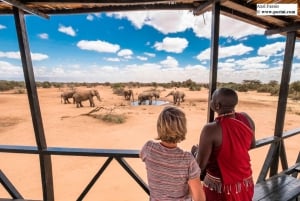 Amboseli Nationaal Park: 2 daagse safari reis