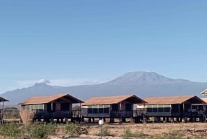 Amboseli national park day tour