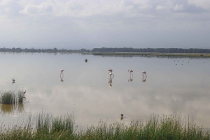 Amboseli National Park: Daytrip from Nairobi in a 4X4 Jeep