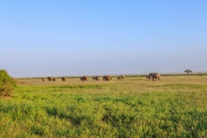 Amboseli National Park: Daytrip from Nairobi in a 4X4 Jeep