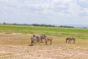 Amboseli National Park: Daytrip from Nairobi in a 4X4 Jeep