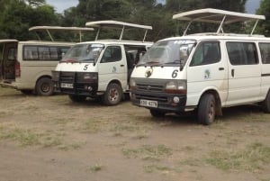 Amboseli-Nationalpark: Ganztagestour ab Nairobi