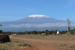 Tour de día completo al Parque Nacional Amboseli desde Nairobi