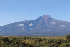 Excursão de 1 dia ao Parque Nacional Amboseli saindo de Nairóbi