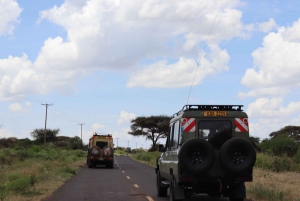 Heldagsutflukt til Amboseli nasjonalpark fra Nairobi