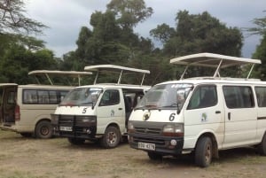 Amboseli National Park: Full-Day Tour from Nairobi