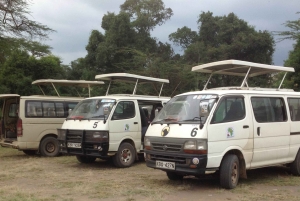 Parque Nacional Amboseli: Tour de día completo desde Nairobi