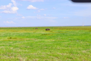 Park Narodowy Amboseli: Całodniowa wycieczka z Nairobi samochodem 4X4