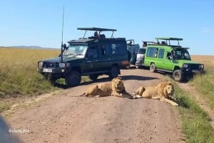 Amboseli National Park: Full Daytrip from Nairobi in a 4X4