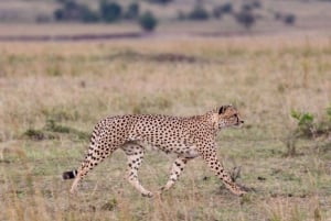 Amboseli National Park: Full Daytrip from Nairobi in a 4X4