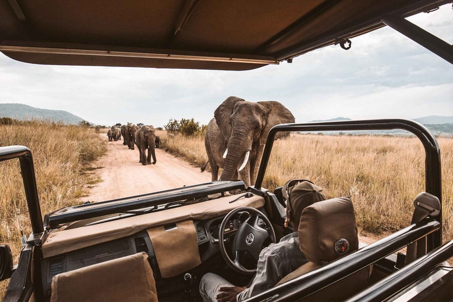 Parc national d'Amboseli : Excursion d'une journée depuis Nairobi en 4X4