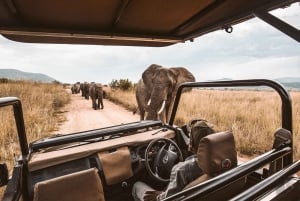 Amboseli National Park: Dagstur fra Nairobi i en 4X4-jeep