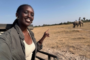 Guidet safari i Amboseli nasjonalpark med henting og avlevering