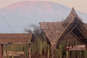 Guidet safari i Amboseli nasjonalpark med henting og avlevering