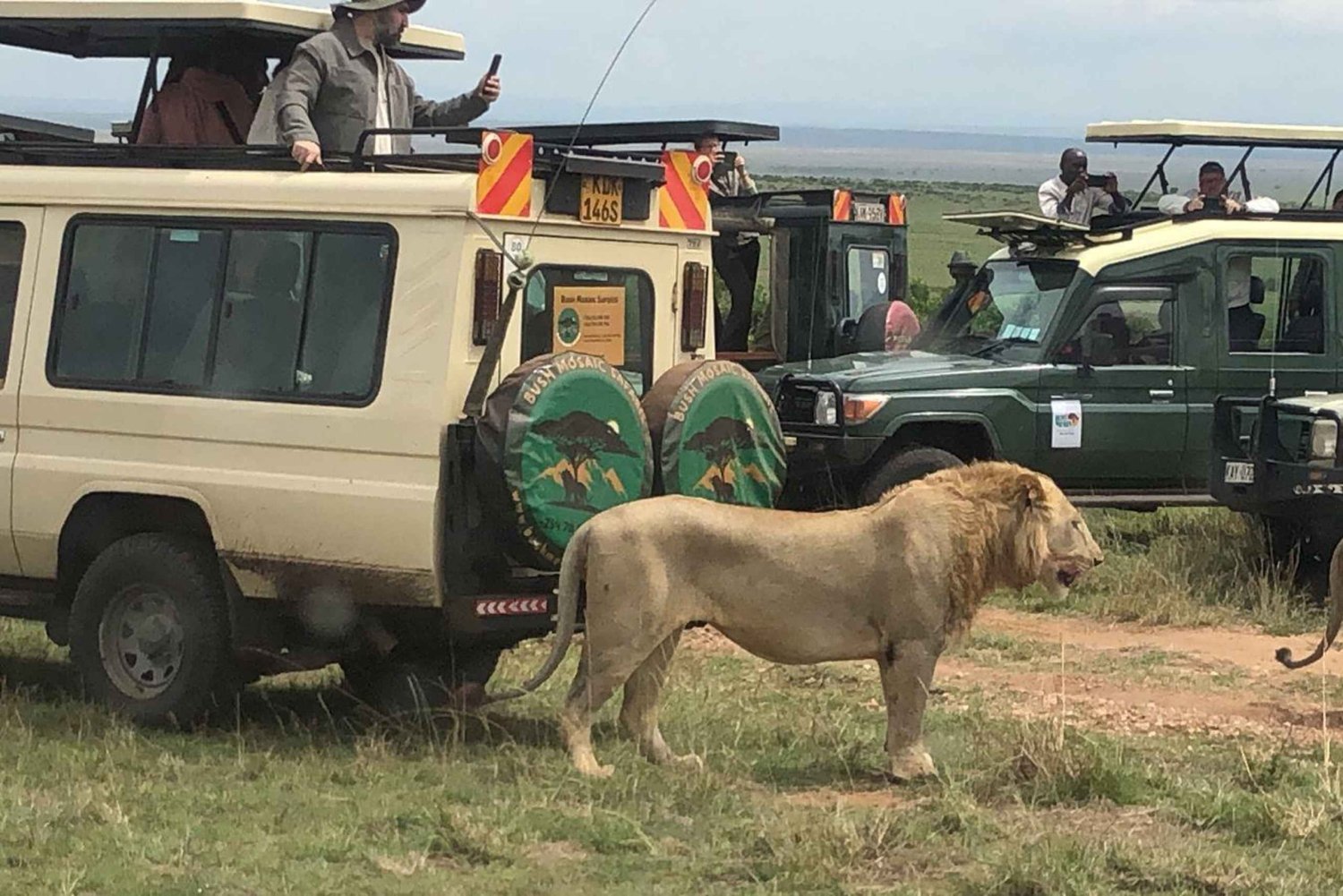 Parc national d'Amboseli : safari avec hébergement