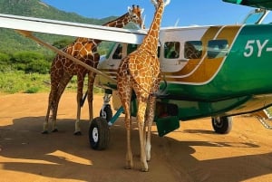 Amboseli National Park: Safari med boende