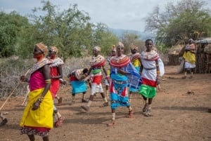 Escapade safari à Amboseli : 3 jours d'aventures de luxe
