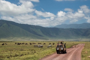 Escapada safari en Amboseli: 3 días de aventuras de lujo