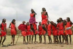 Amboseli Wildlife Day Tour och besök i Masai Village