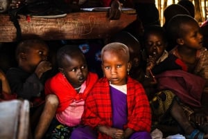 Arusha:Safari de 7 dias Descobre a verdadeira África a partir do LagoManyara