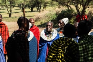 Arusha:Safari de 7 dias Descobre a verdadeira África a partir do LagoManyara