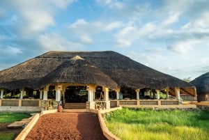 Arusha:Safari de 7 dias Descobre a verdadeira África a partir do LagoManyara