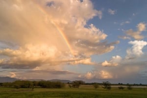 Arusha:Safari de 7 dias Descobre a verdadeira África a partir do LagoManyara