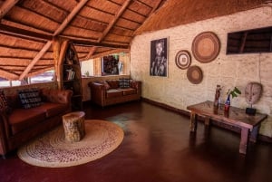 Arusha:Safari de 7 dias Descobre a verdadeira África a partir do LagoManyara