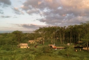 Arusha:Safari de 7 dias Descobre a verdadeira África a partir do LagoManyara