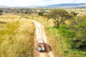 Arusha:Safari de 7 dias Descobre a verdadeira África a partir do LagoManyara