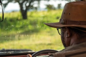 Arusha:Safari de 7 dias Descobre a verdadeira África a partir do LagoManyara