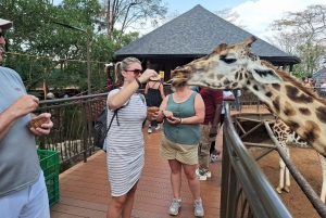 Baby Elephant Orphanage And Giraffe Center Guide Tour