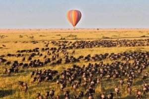 Balloon Safari in Maasai Mara