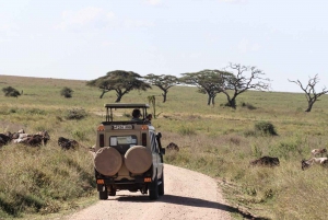 Arusha: 5-Day Serengeti National Park Tent Safari